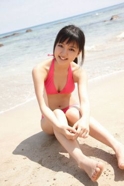 玫瑰的故事电视连续剧免费看